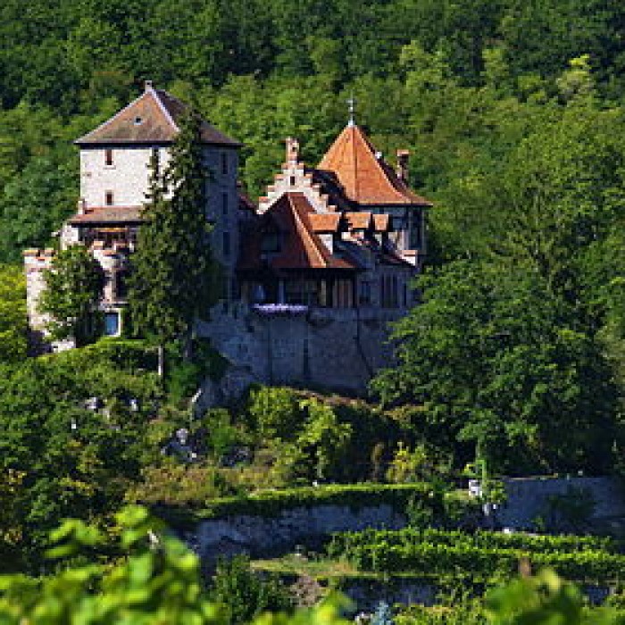 Photo de Château de Reichenberg