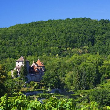 Château de Reichenberg