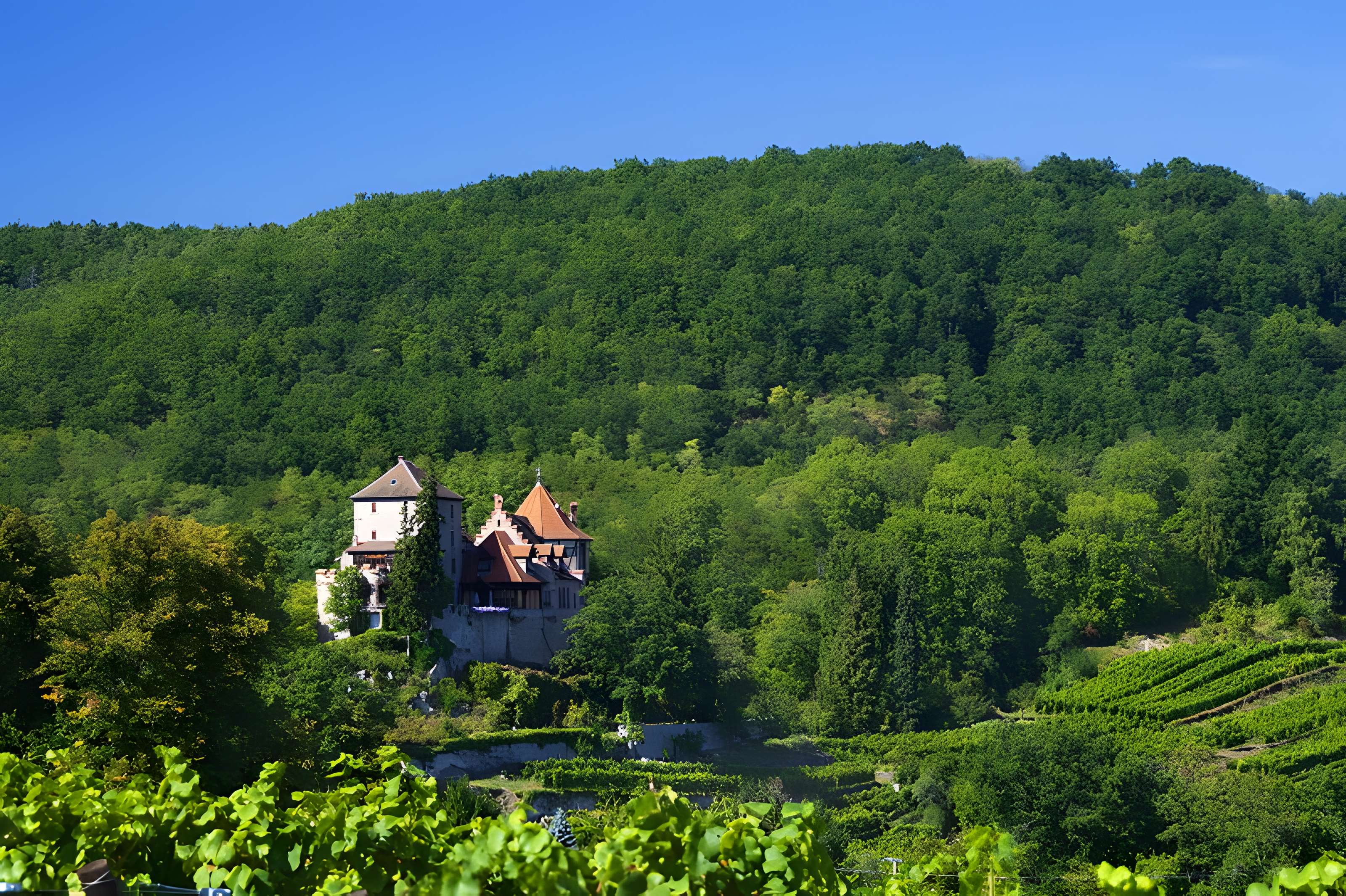 Château de Reichenberg