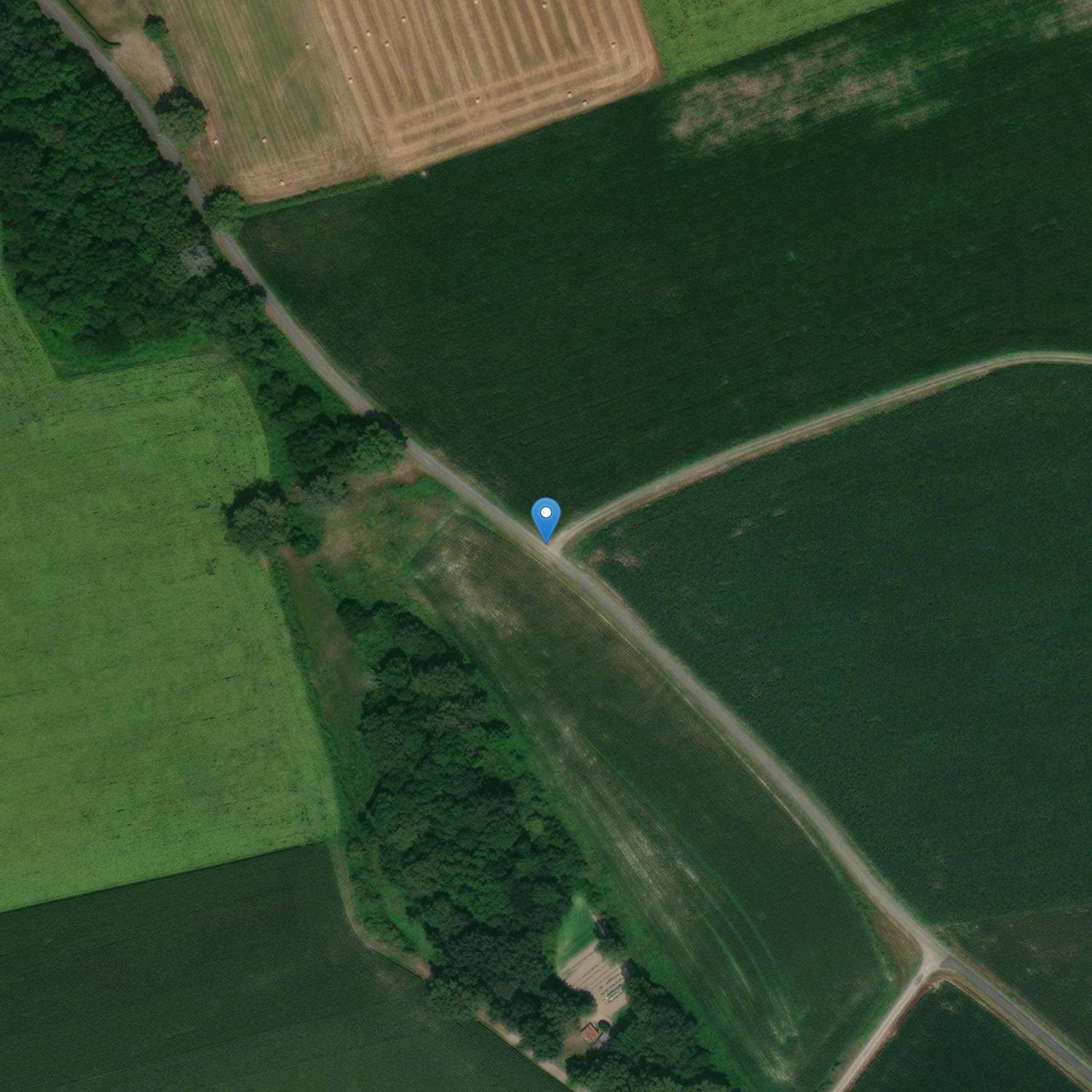 Photo de 米奥森-拉努塞圣马丁教堂