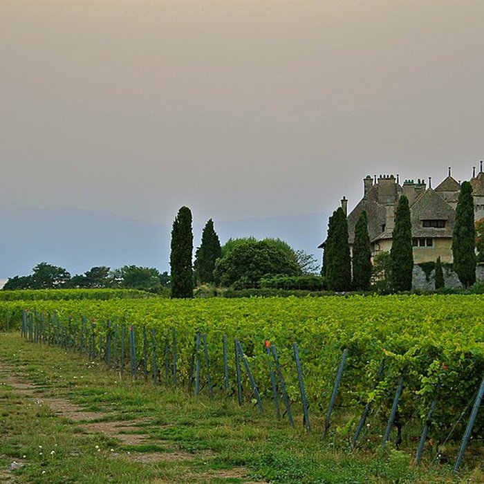 Photo de Château de Ripaille