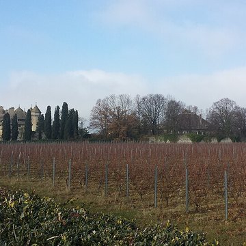 Château de Ripaille