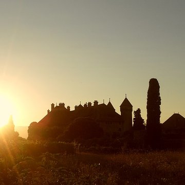 Château de Ripaille