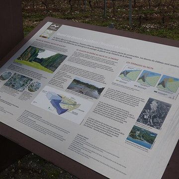 Château de Ripaille