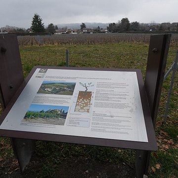 Château de Ripaille