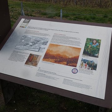 Château de Ripaille