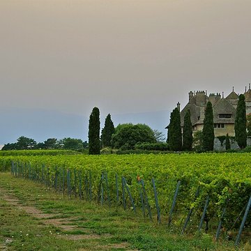 Château de Ripaille