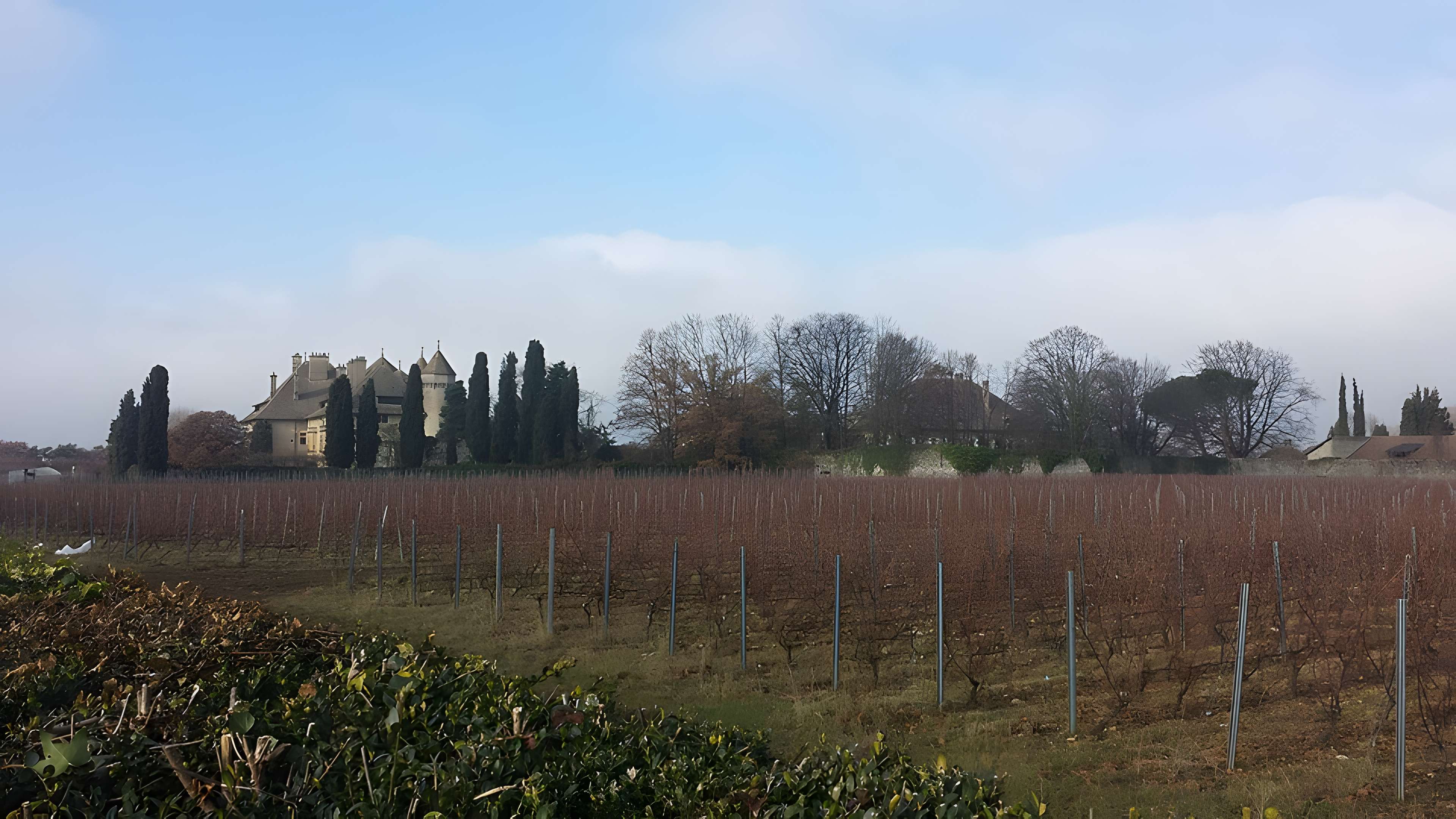 Château de Ripaille