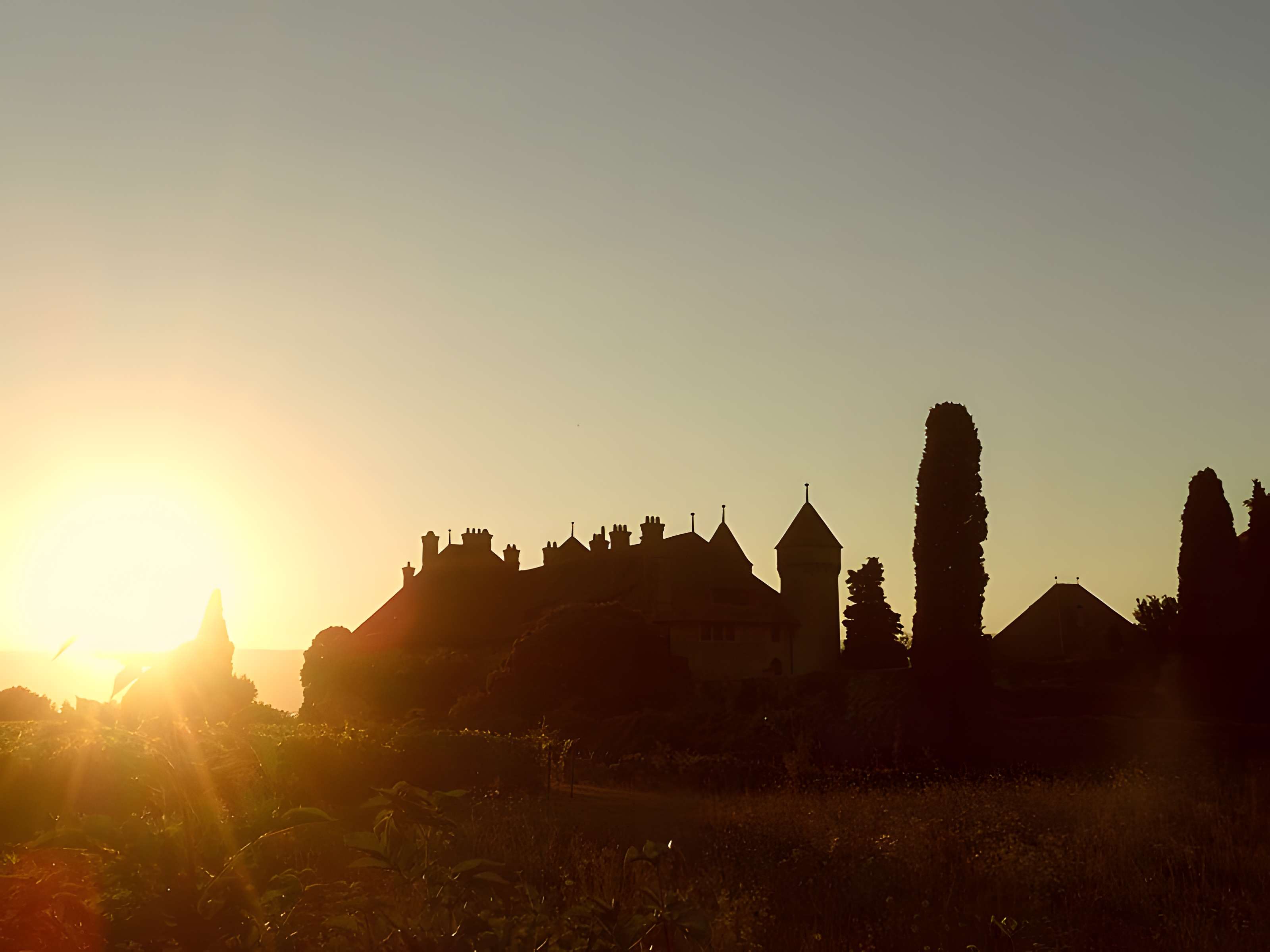 Château de Ripaille