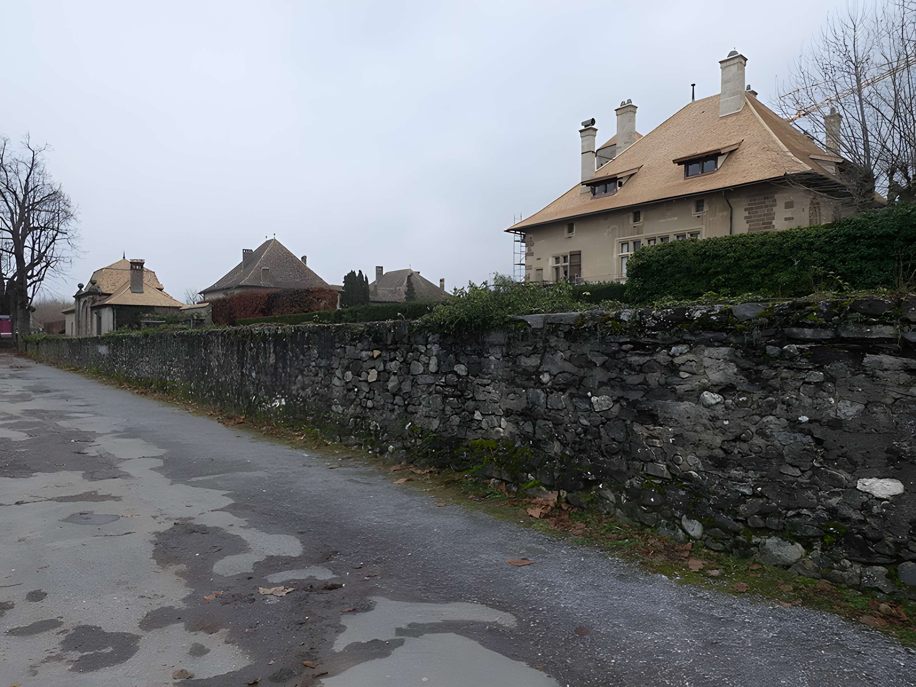 Château de Ripaille