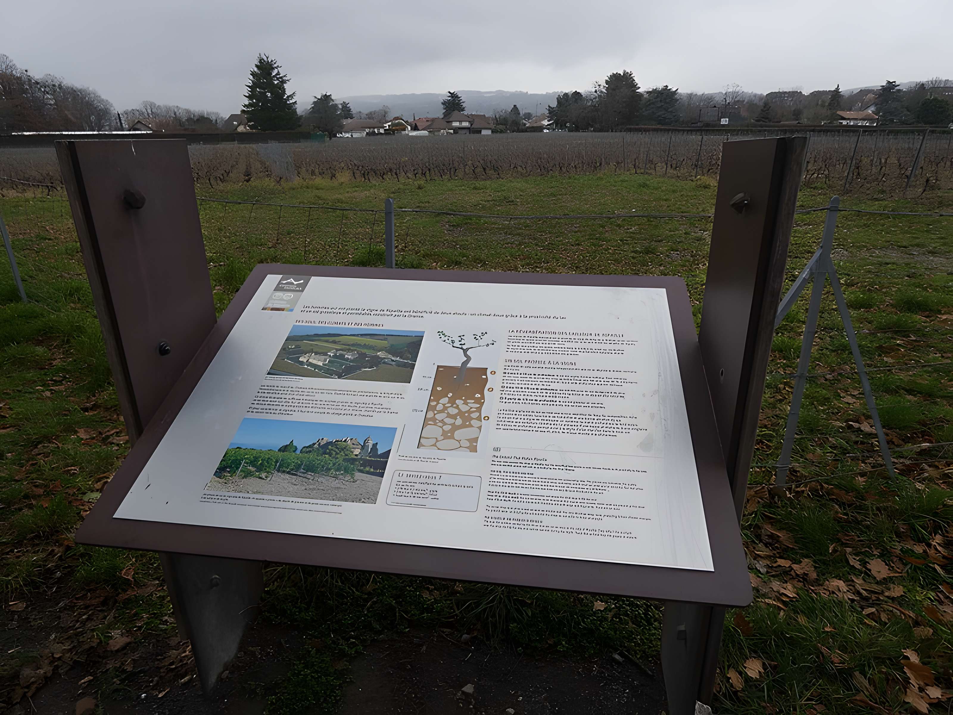 Château de Ripaille