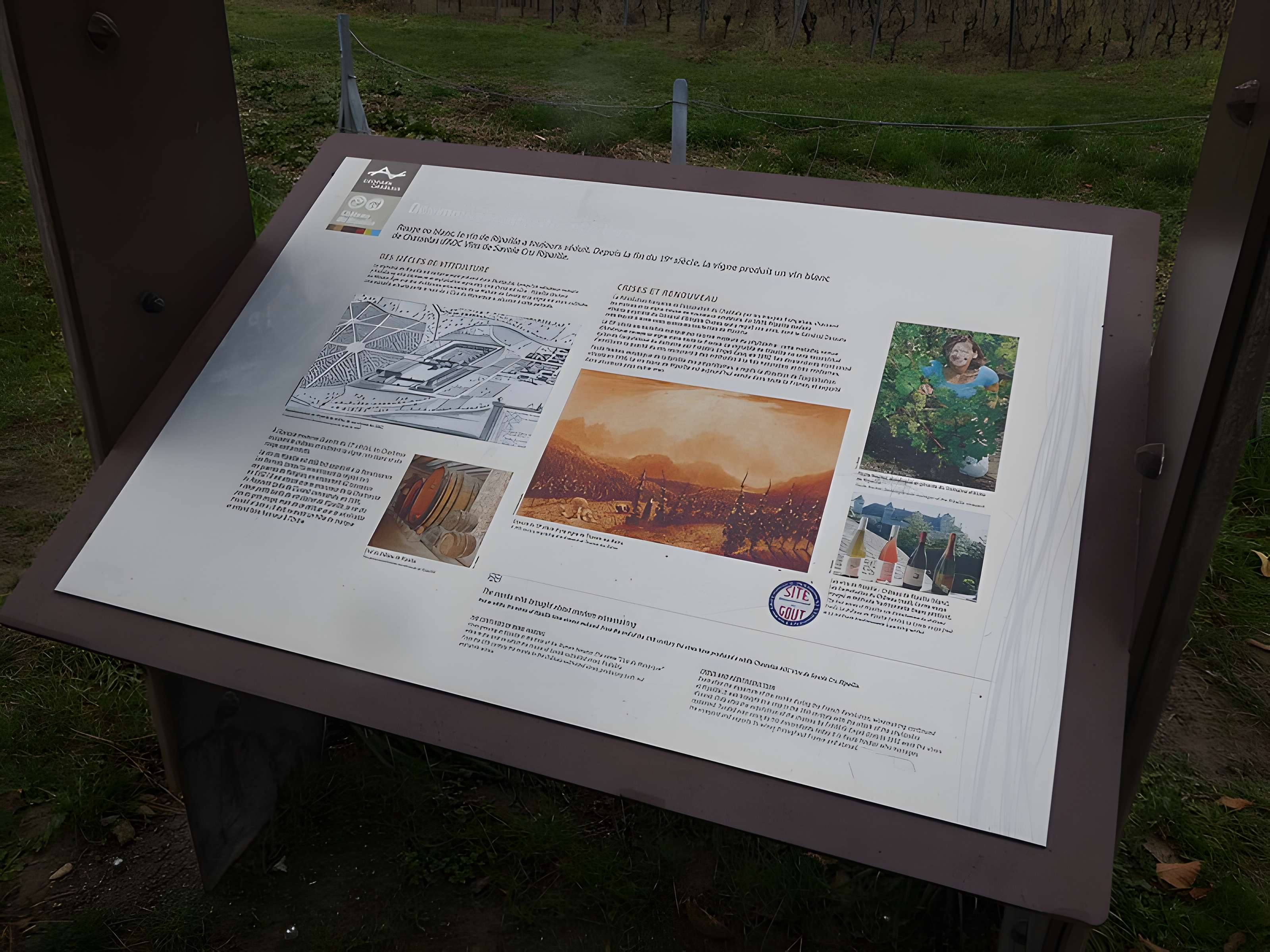 Château de Ripaille