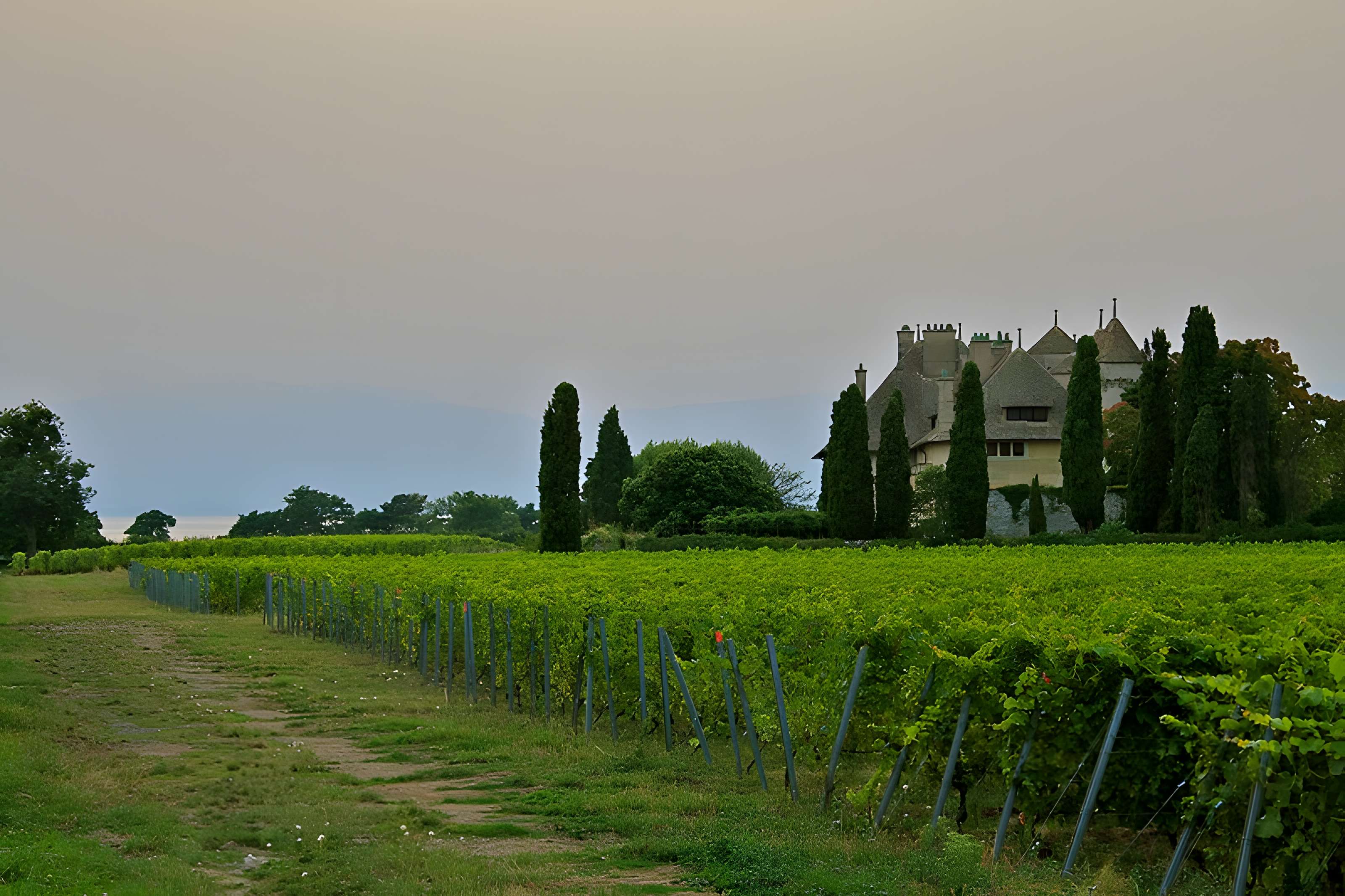 Château de Ripaille