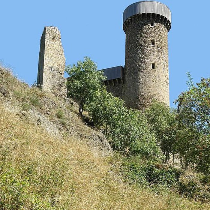 Photo de Château de Rochebaron