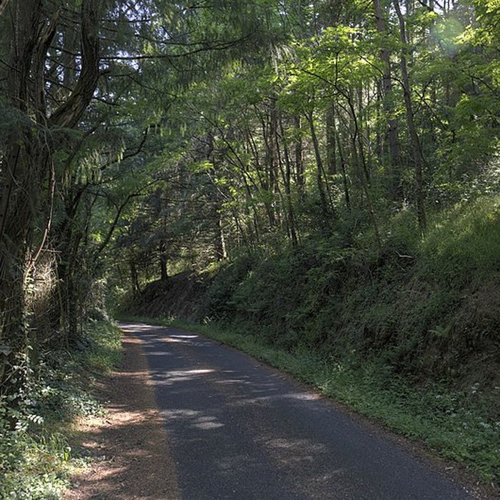 Photo de Château de Rochebaron