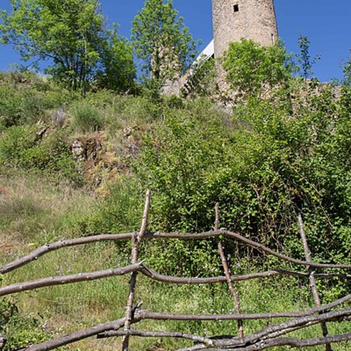 Photo de Château de Rochebaron
