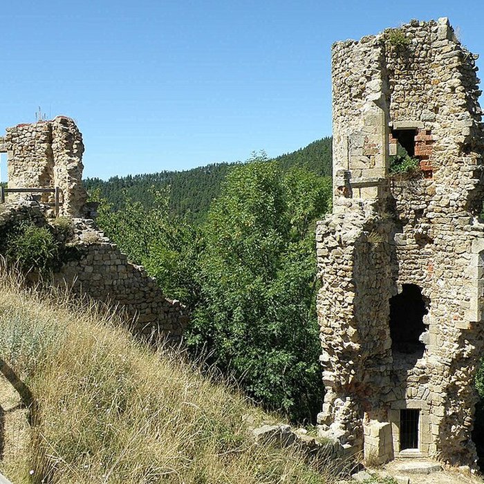 Photo de Château de Rochebaron