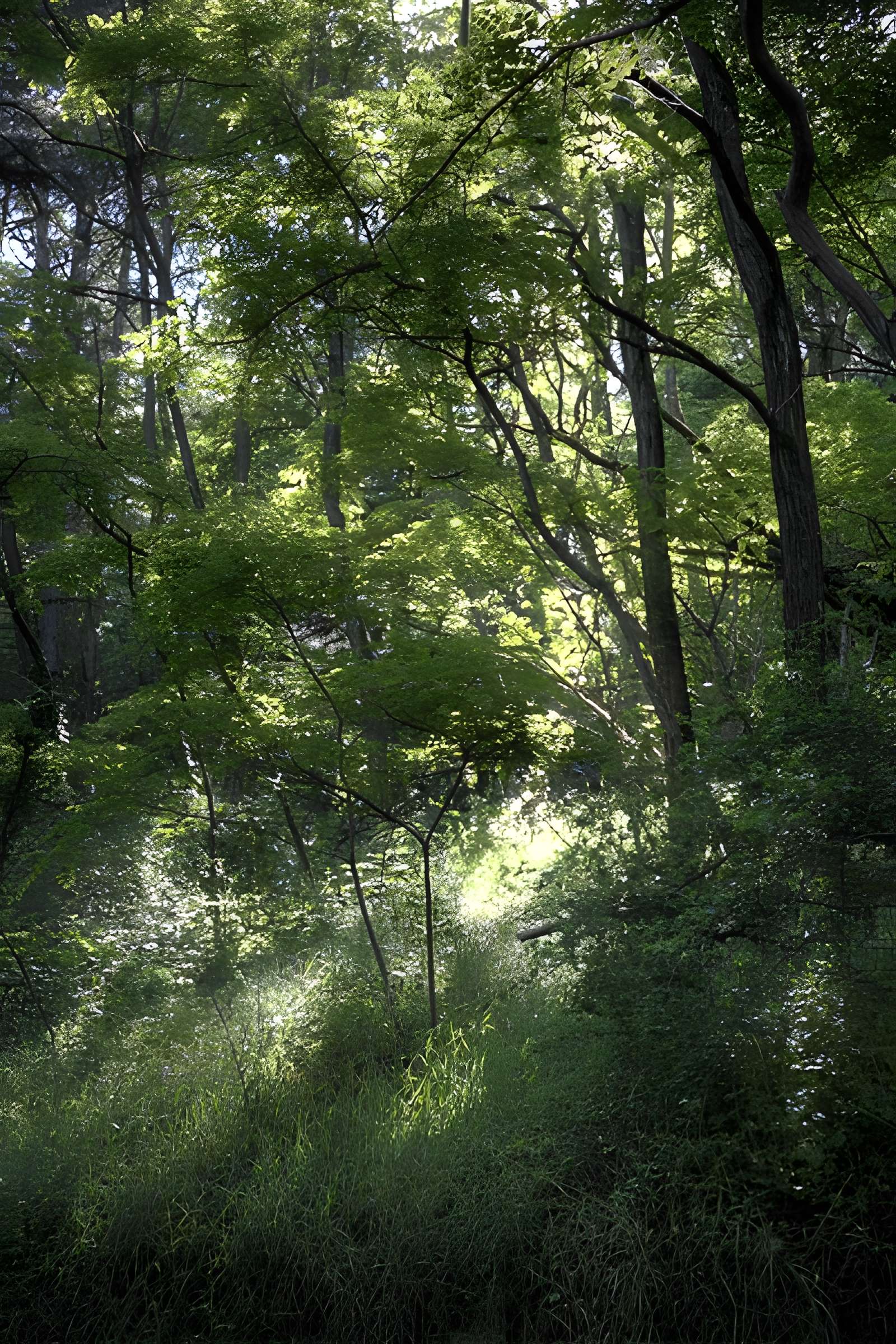 Château de Rochebaron