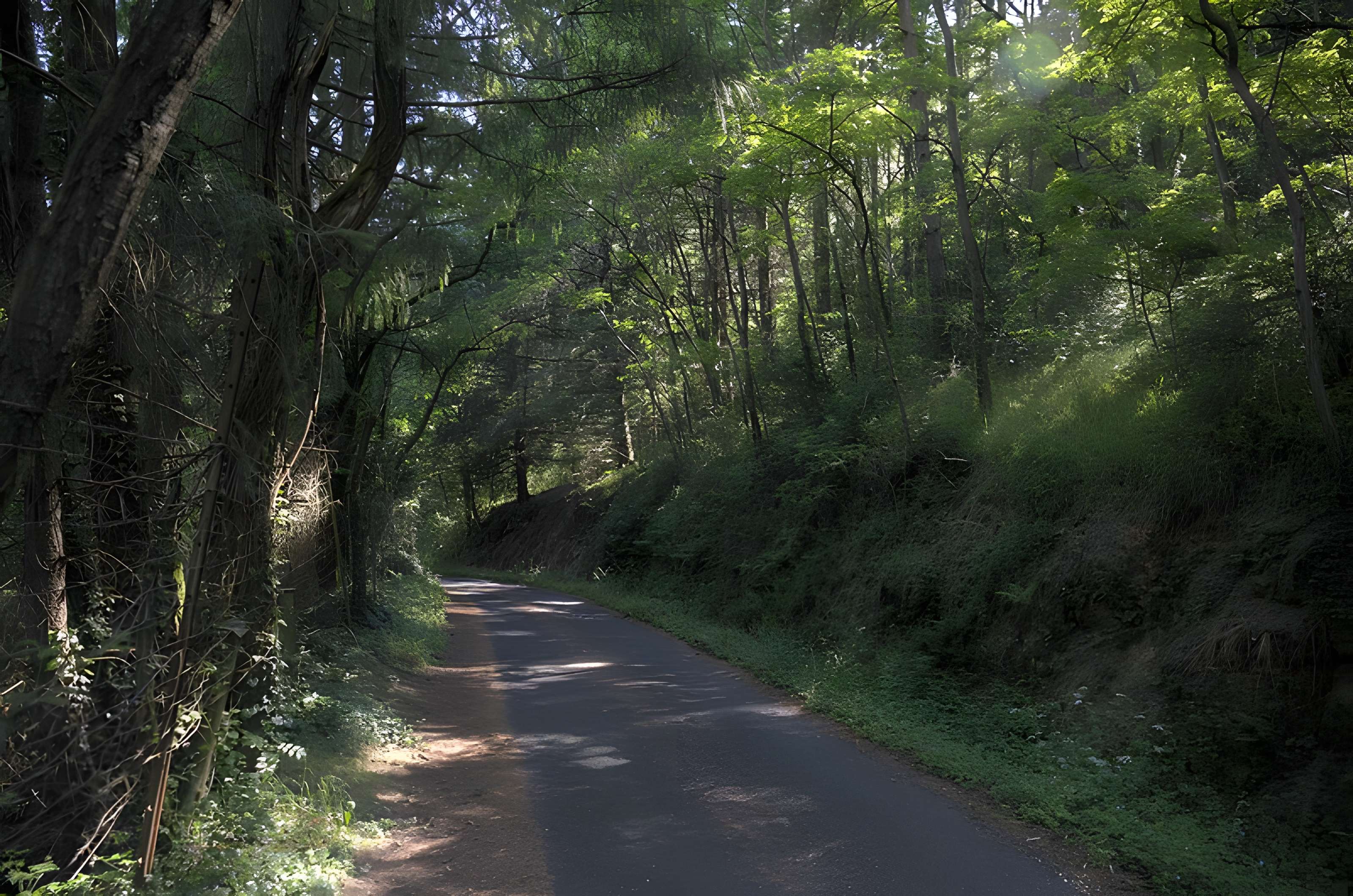 Château de Rochebaron