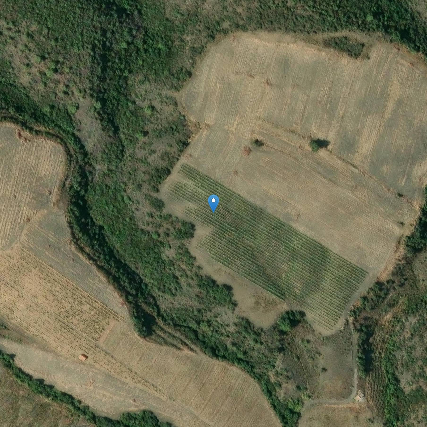 Photo de Ex chiesa di Sainte-Colombe de Cases-de-Pène