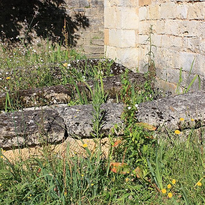 Photo de Église Saint-Laurent des Arques