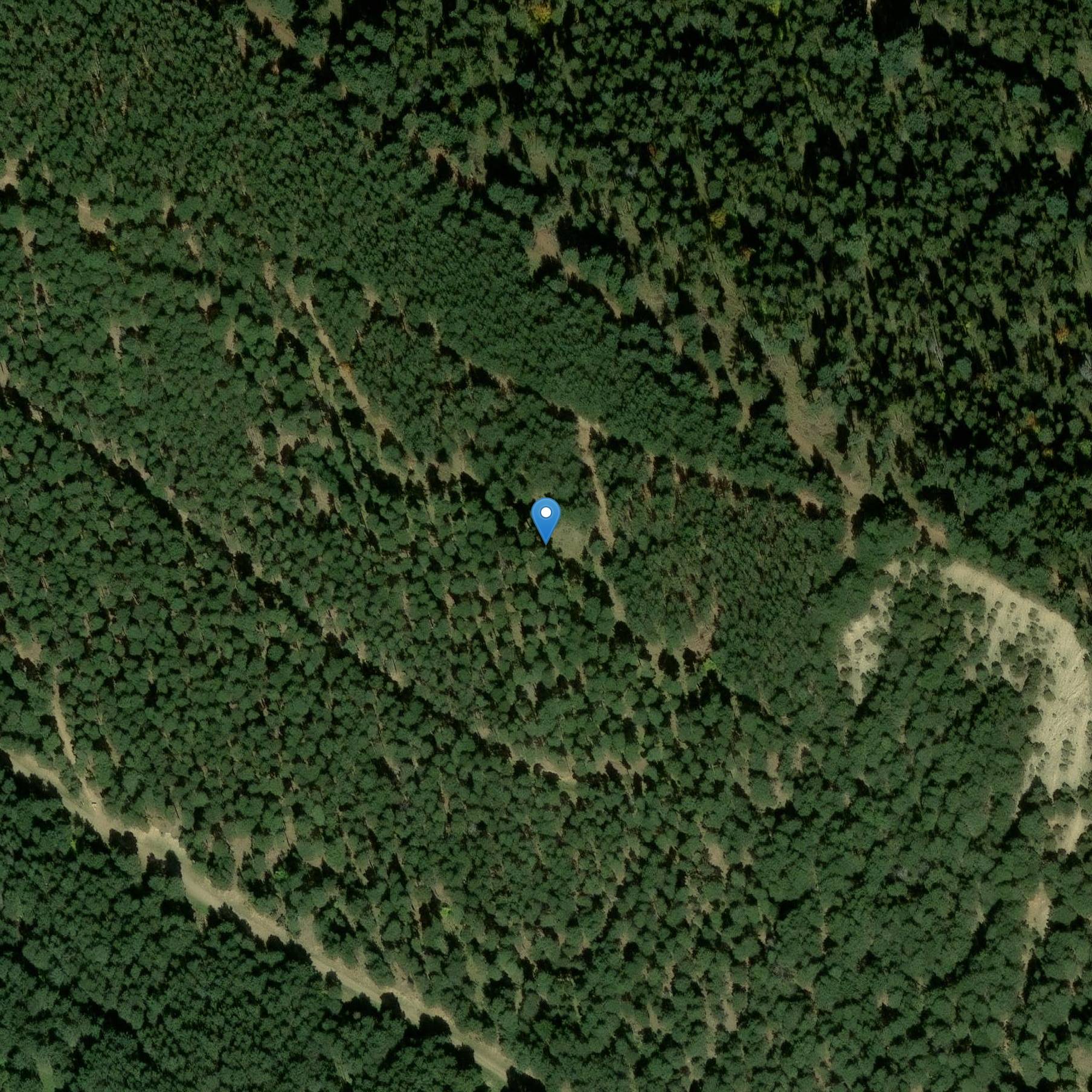 Photo de Église Sainte-Marie de Mossellons