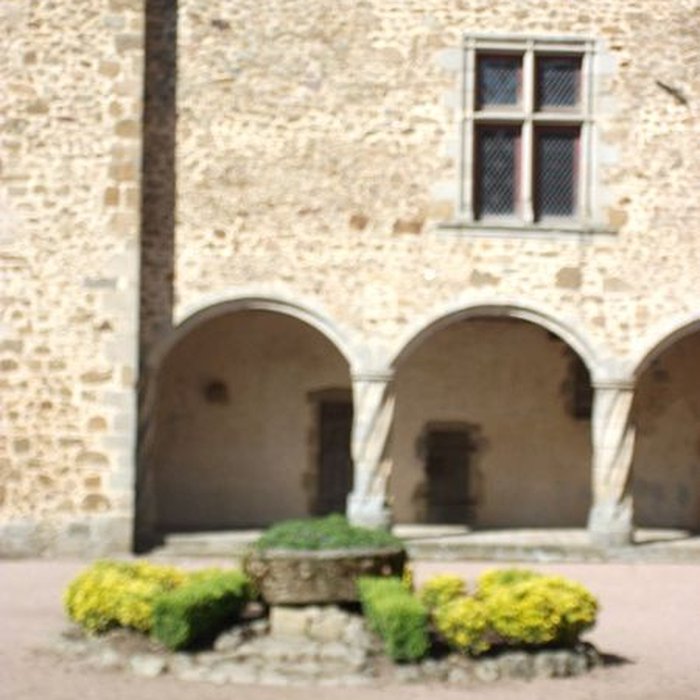 Photo de Château de Rochechouart 