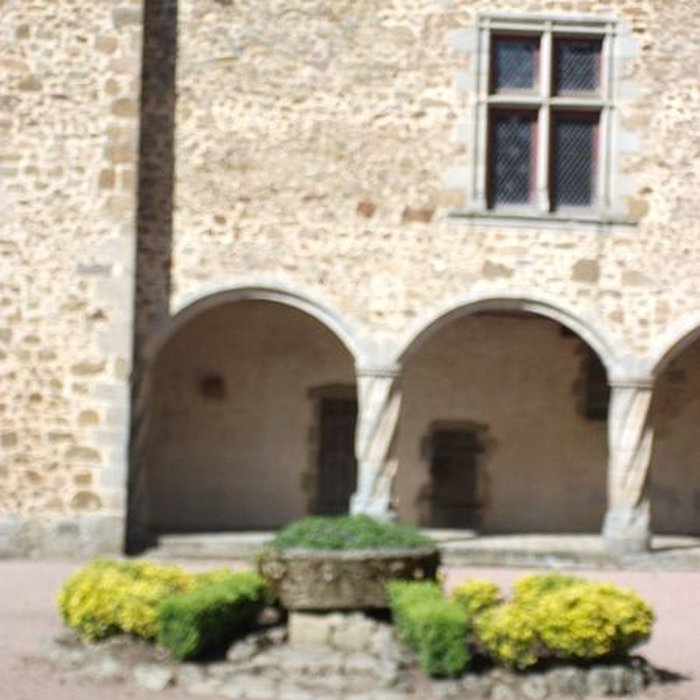 Photo de Château de Rochechouart 