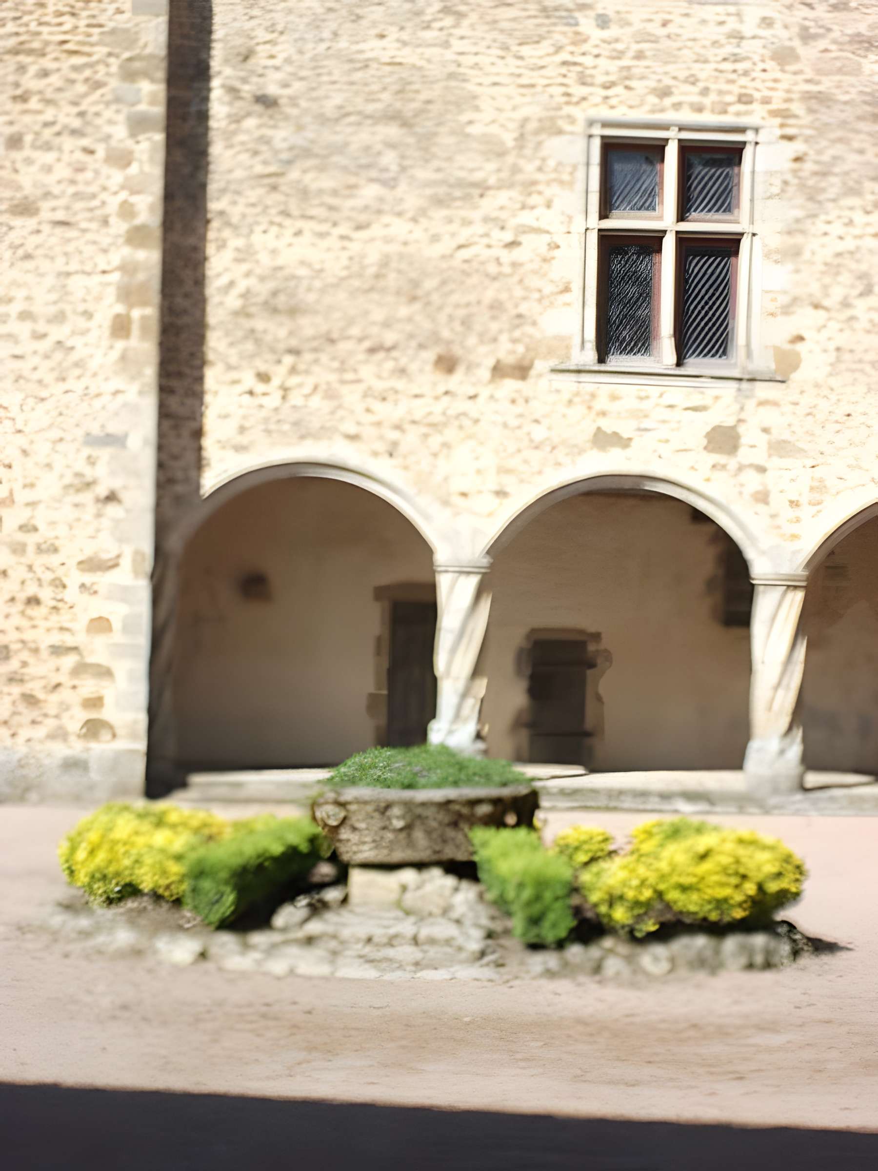 Château de Rochechouart 