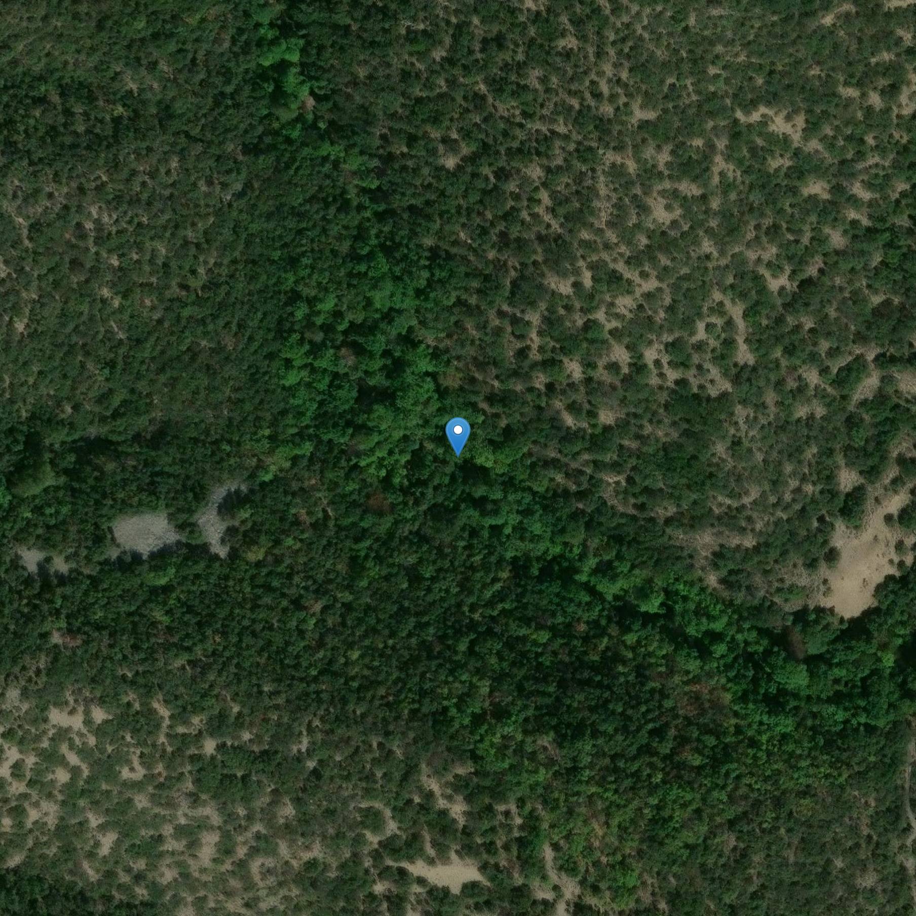 Photo de Church of Saint Colombe du château