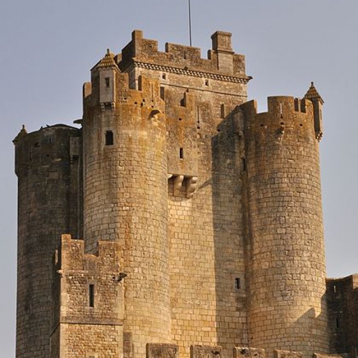 Photo de Château de Romefort à Ciron