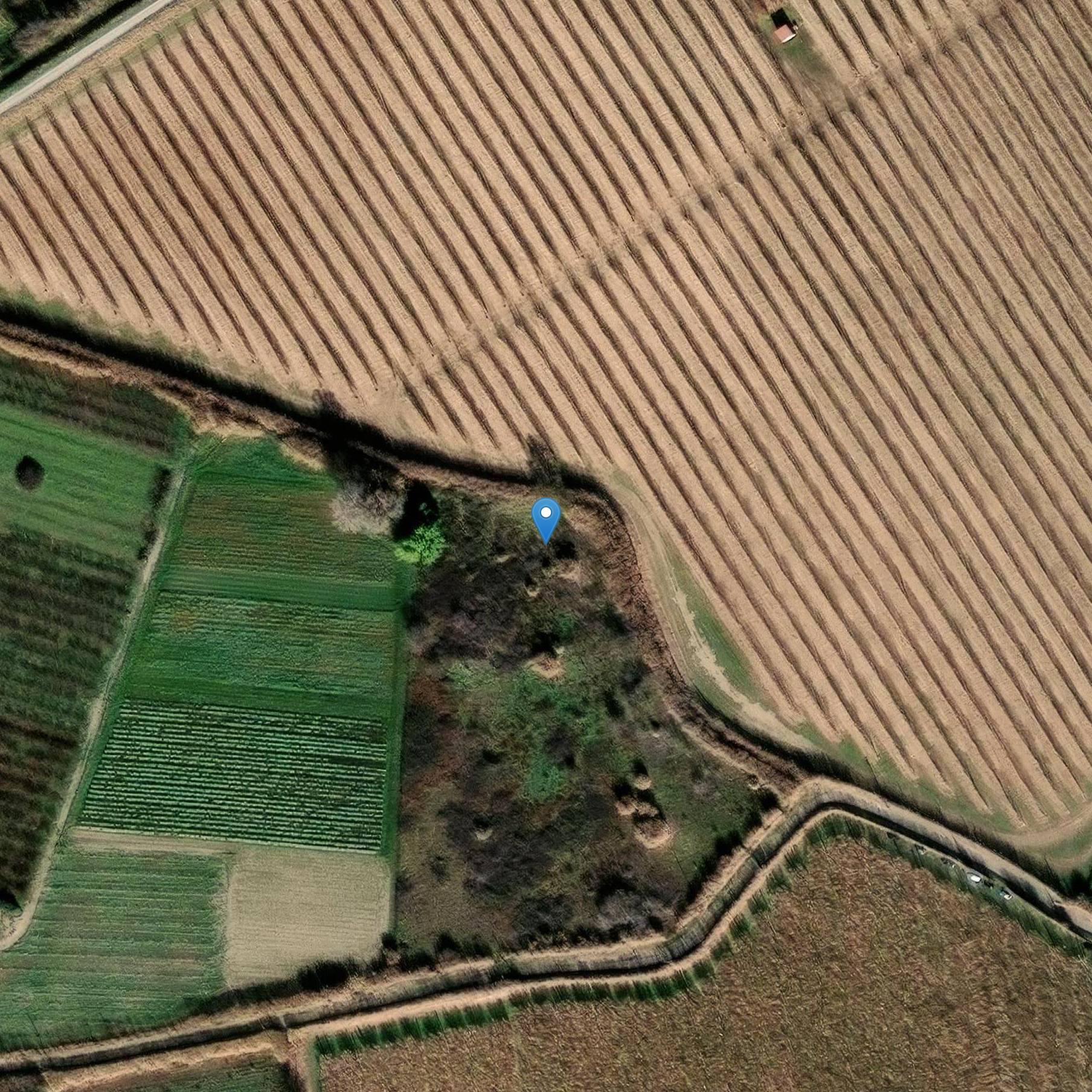 Photo de Church of Saint Eugene of Lebeiano