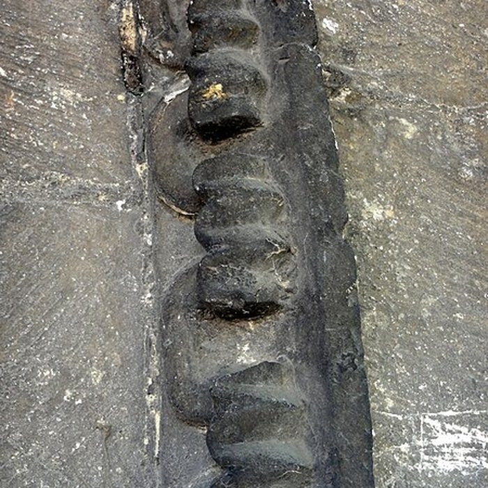 Photo de Église Saint-Leufroy de Thiverny