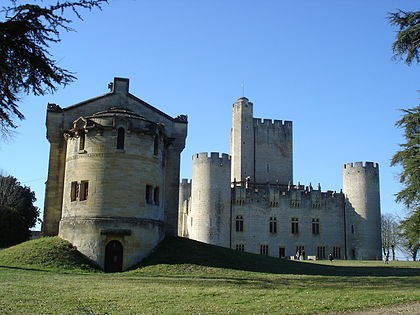 Photo de Château de Roquetaillade
