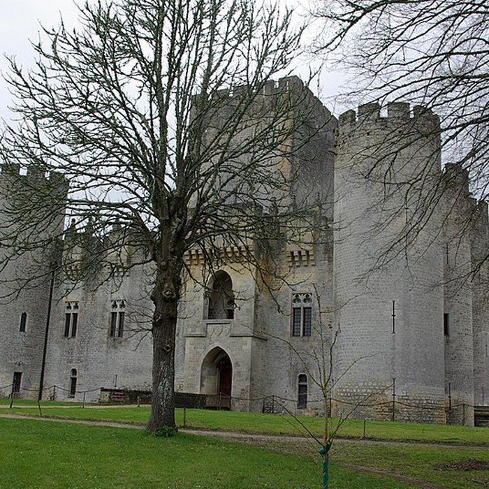 Photo de Château de Roquetaillade