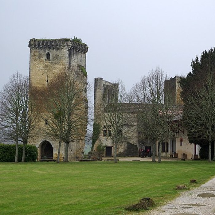 Photo de Château de Roquetaillade