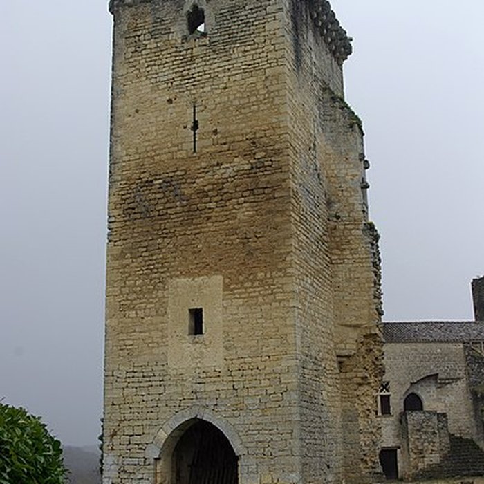 Photo de Château de Roquetaillade