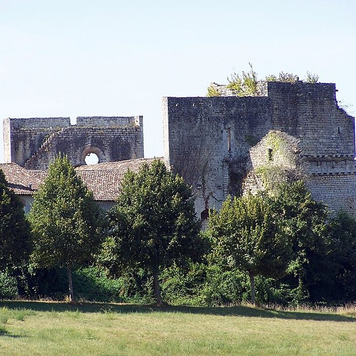 Photo de Château de Roquetaillade