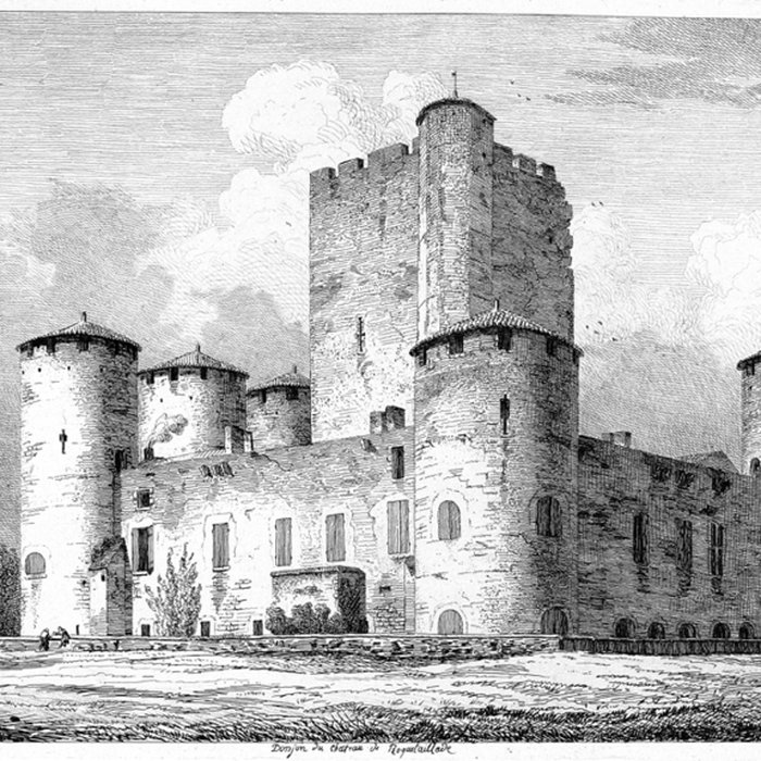 Photo de Château de Roquetaillade