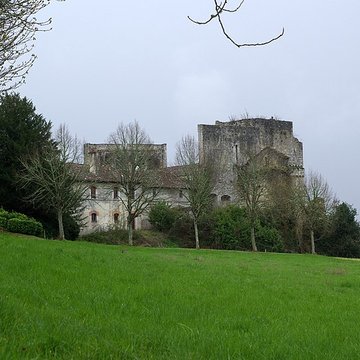 Château de Roquetaillade