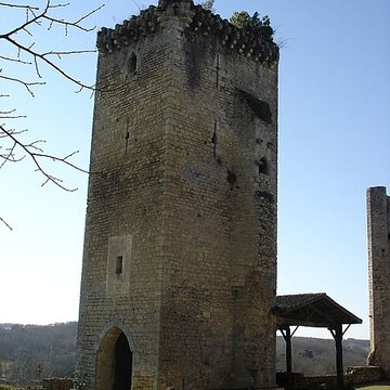 Château de Roquetaillade
