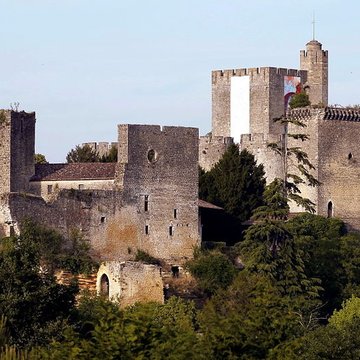 Château de Roquetaillade