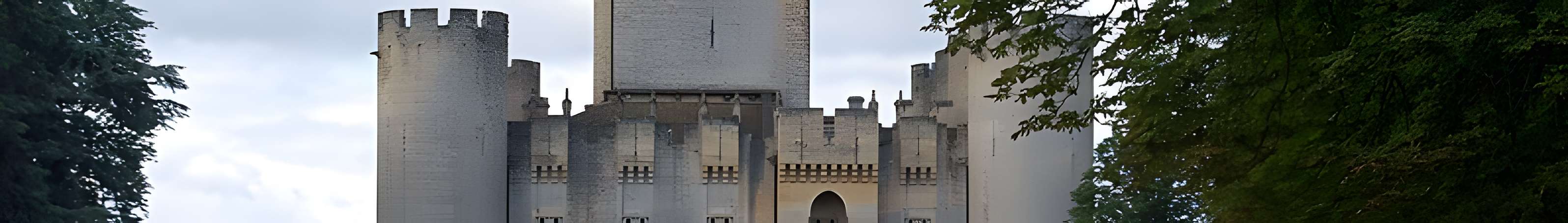 Château de Roquetaillade