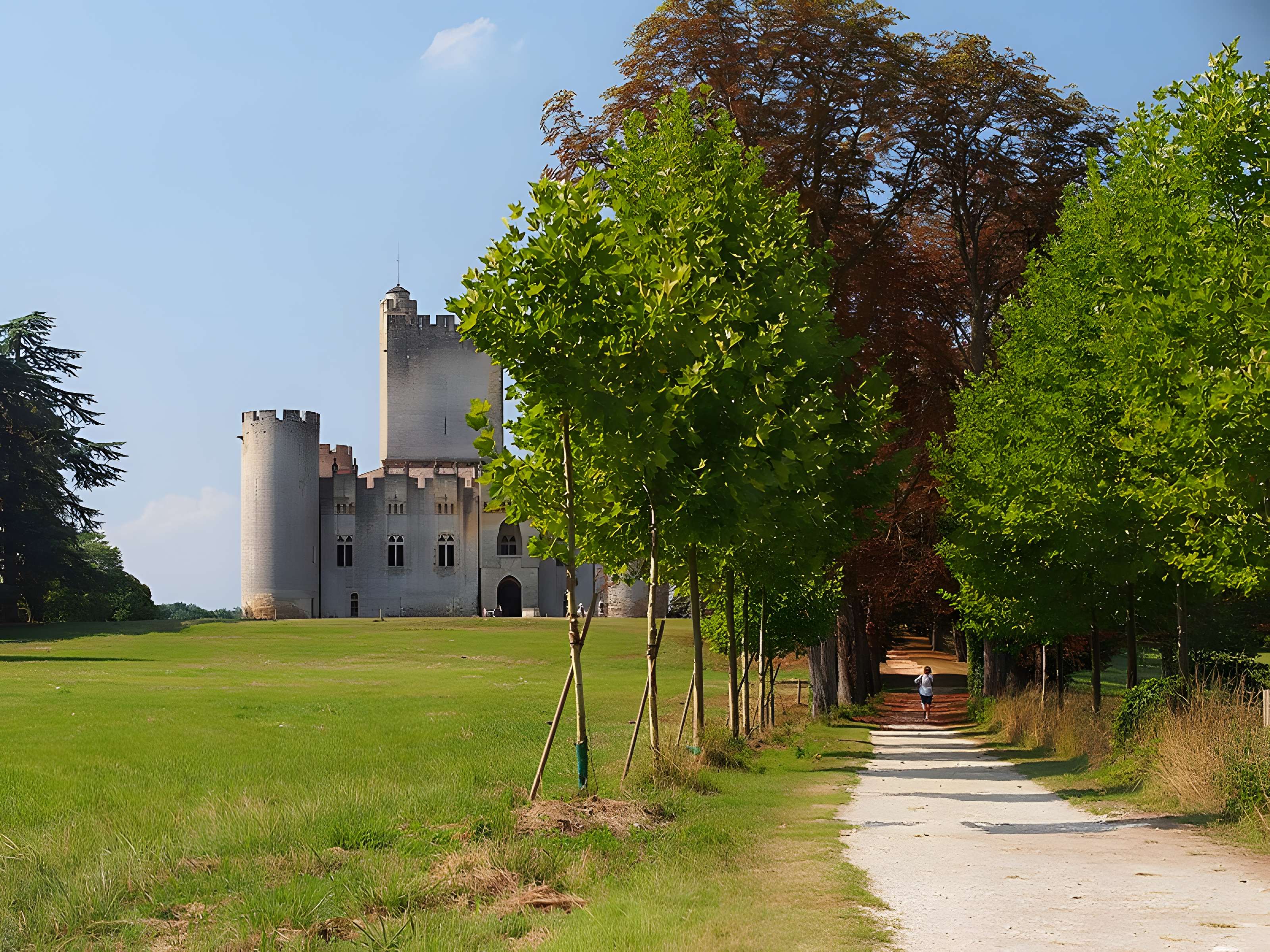 Château de Roquetaillade