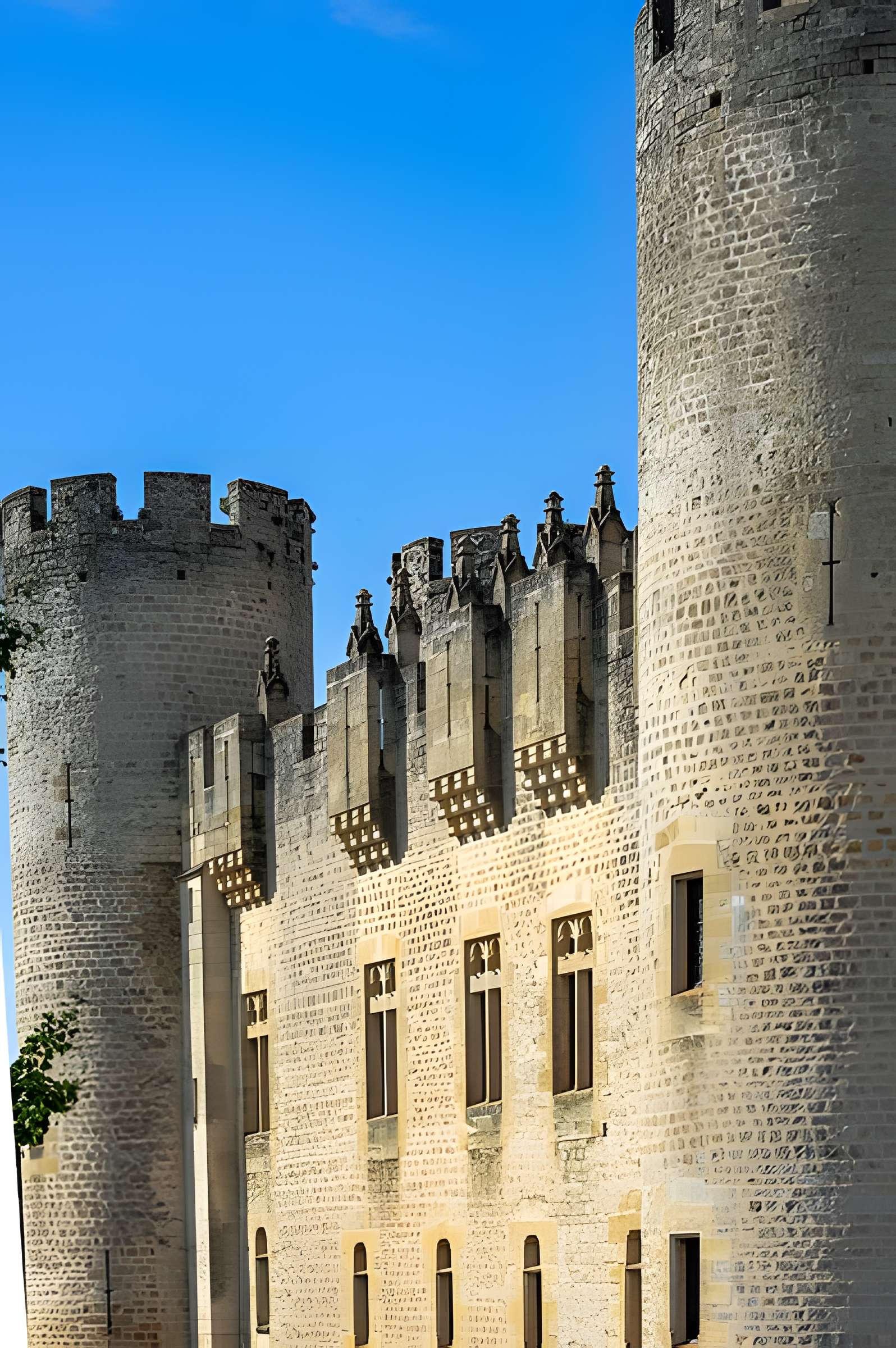 Château de Roquetaillade