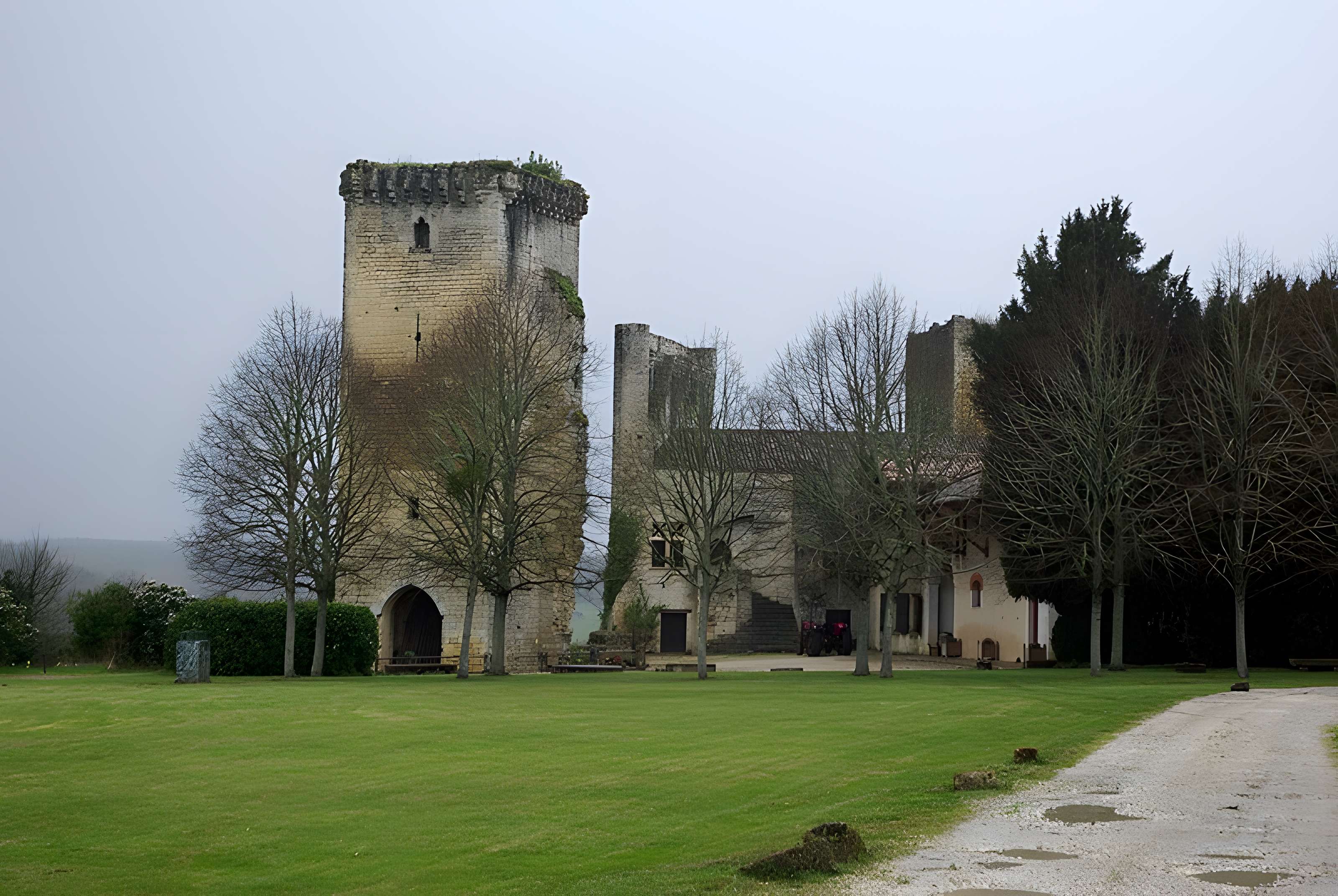 Château de Roquetaillade