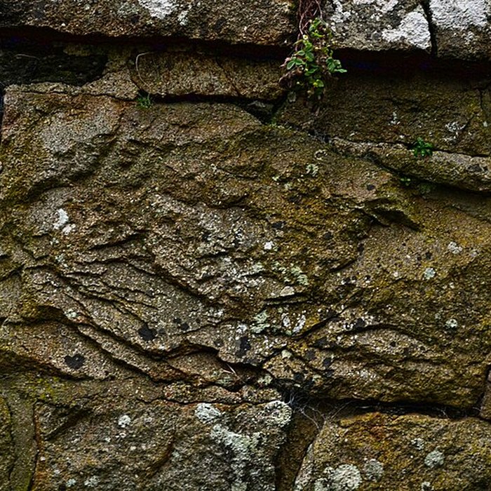 Photo de Château de Rosanbo