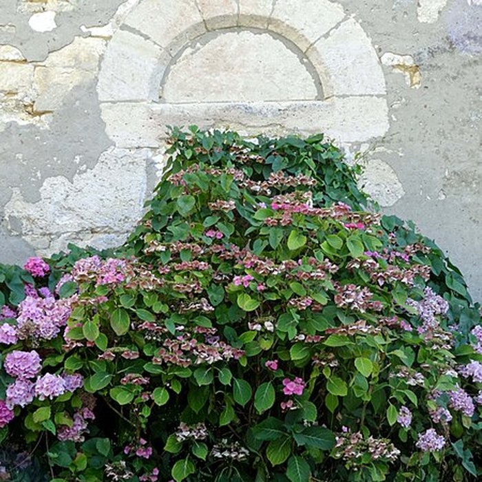 Photo de Église Saint-Lucien de Litz