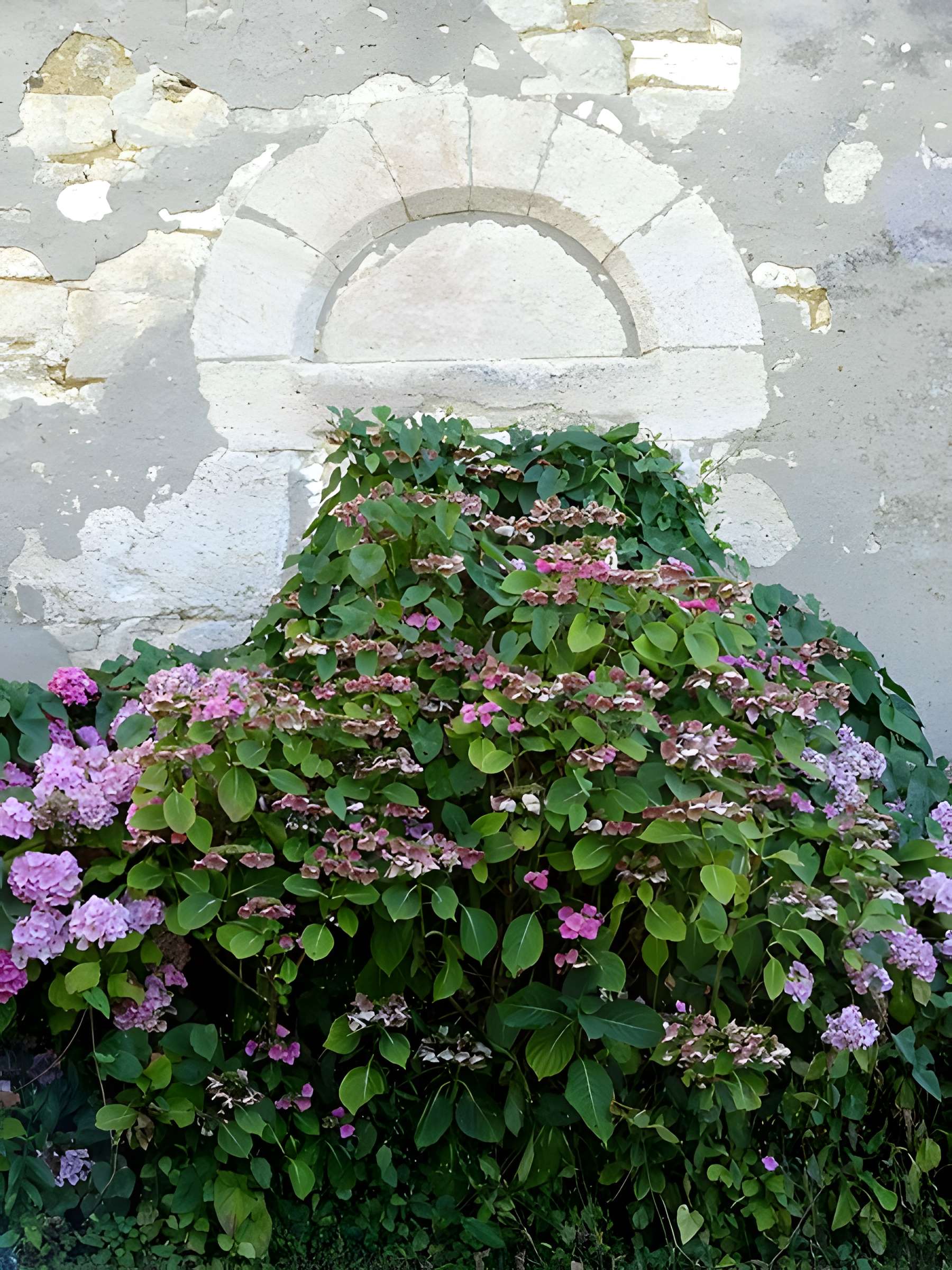 Église Saint-Lucien de Litz
