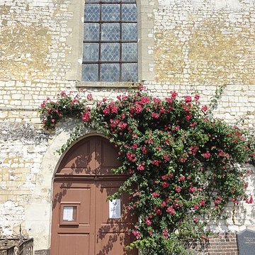Église Saint-Lucien de Montmille